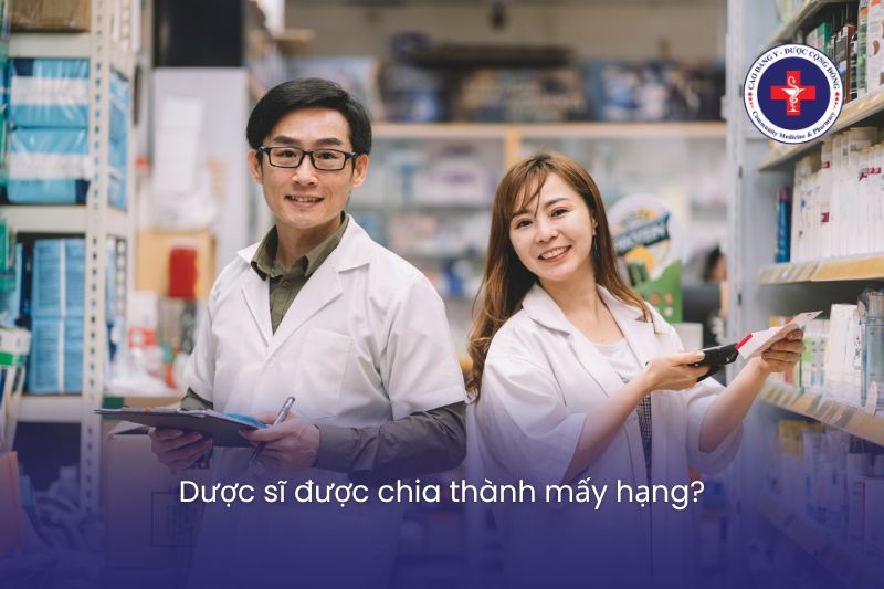 Dược sĩ được chia thành mấy hạng?