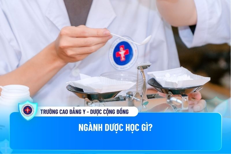 Ngành dược học gì?