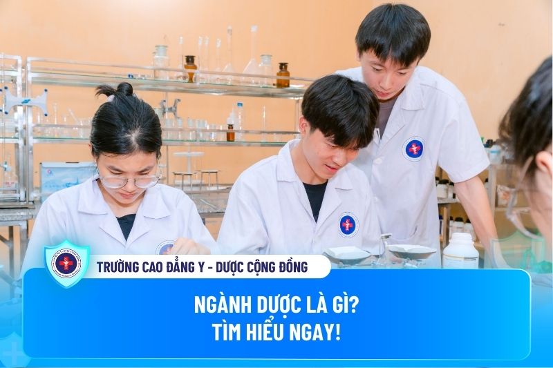 Ngành dược là gì?