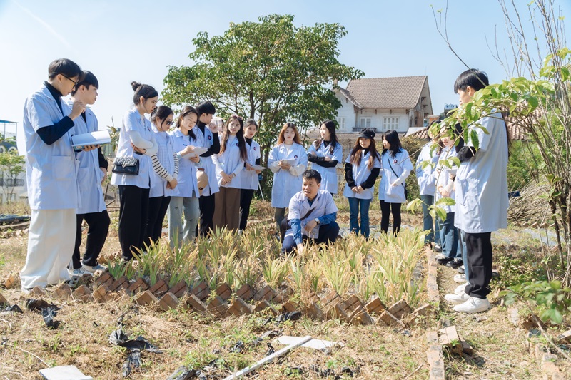 Học tập thực địa và tham quan vườn dược liệu là hoạt động bổ ích giúp sinh viên học hỏi thêm nhiều kiến thức bổ ích từ thực tế