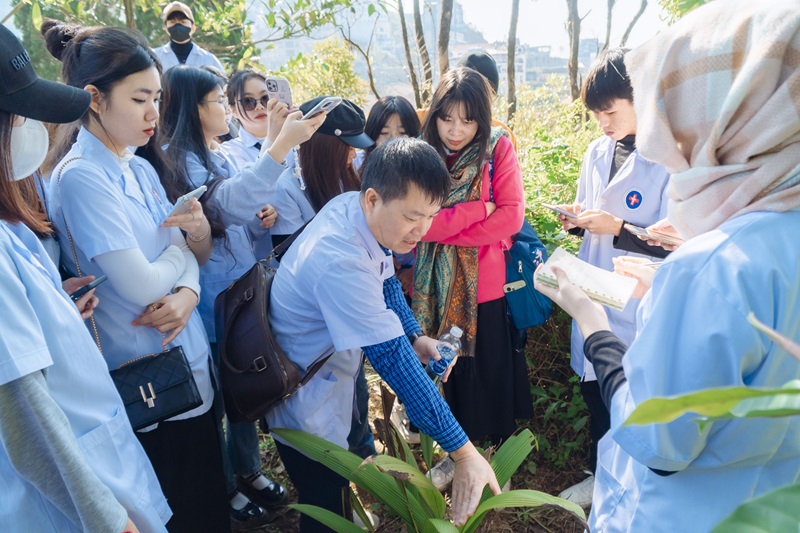 Thầy Trần Việt Tùng hướng dẫn sinh viên trong hoạt động học tập thực địa và tham quan vườn dược liệu