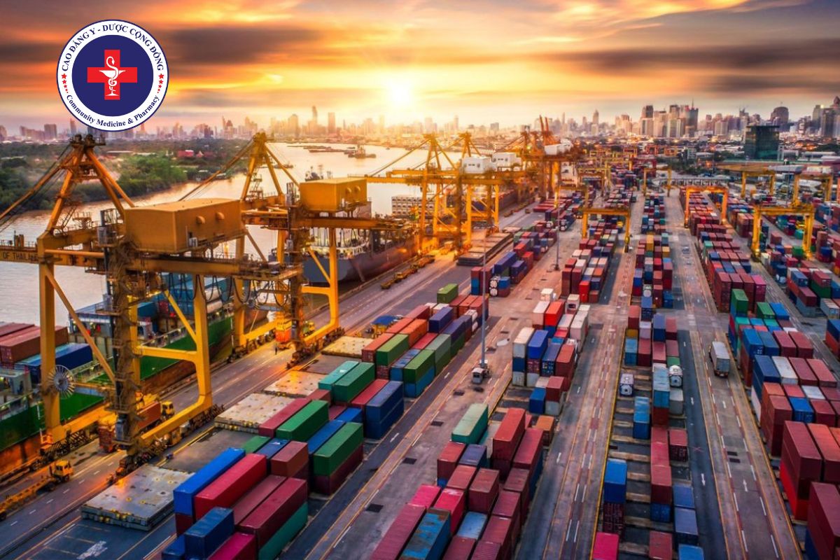 Ngành Logistics và Quản lý chuỗi cung ứng là một lĩnh vực rộng lớn và có nhiều cơ hội phát triển