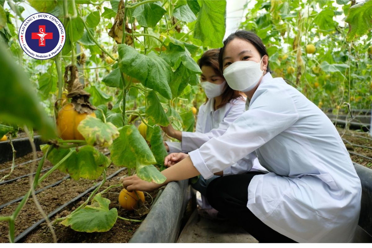https://caodangyduoccongdong.edu.vn/