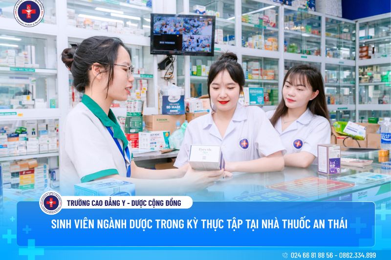Sinh viên ngành Dược trong kỳ thực tập tại nhà thuốc An Thái