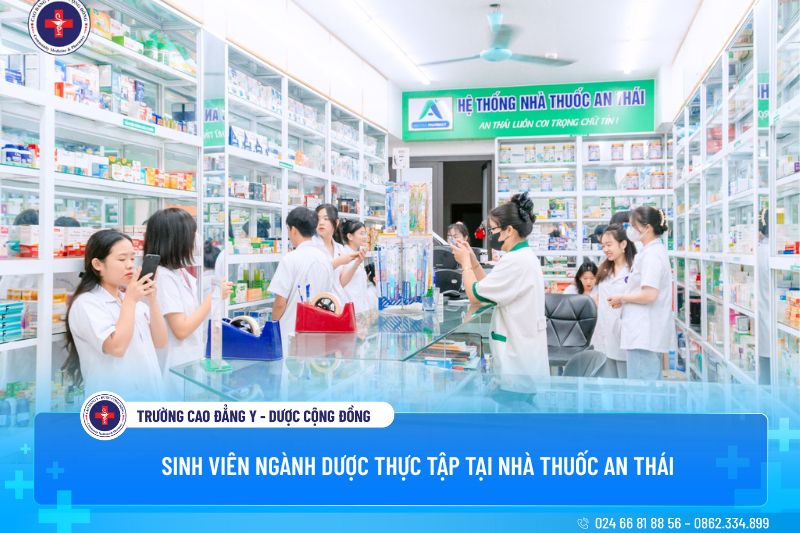 Khối B08 gồm những môn nào? Là câu hỏi được nhiều người đặt ra khi tìm hiểu các khối xét tuyển