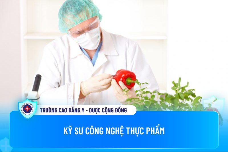 Kỹ sư ngành Công nghệ thực phẩm