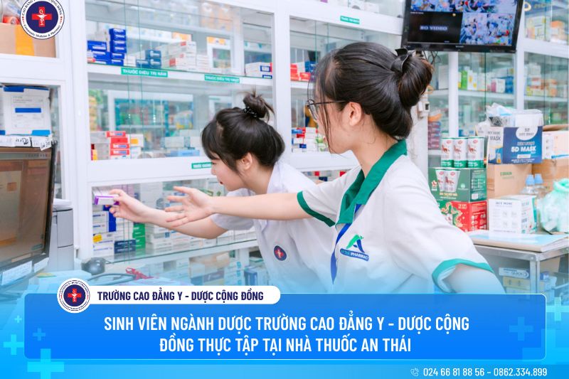 Sinh viên ngành Dược của nhà trường được Dược sĩ tại nhà thuốc An Thái hướng dẫn trong kỳ thực tập