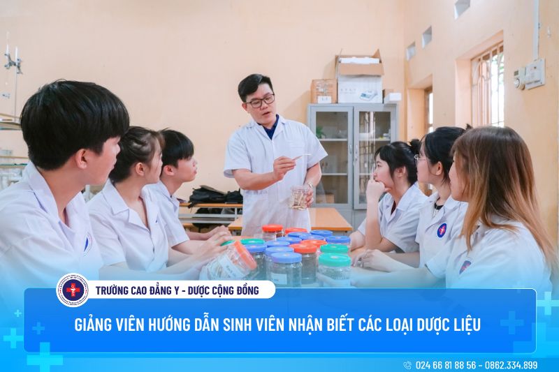 Giảng viên trường Cao đẳng Y - Dược Cộng đồng đang giảng dạy, hướng dẫn sinh viên nhận biết các loại dược liệu