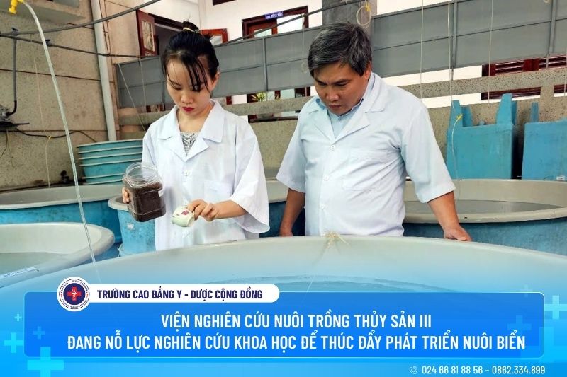 Viện nghiên cứu nuôi trồng thủy sản III đang nỗ lực nghiên cứu khoa học để thúc đẩy phát triển nuôi biển