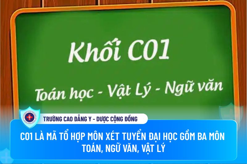 Khối C01 gồm những môn nào?