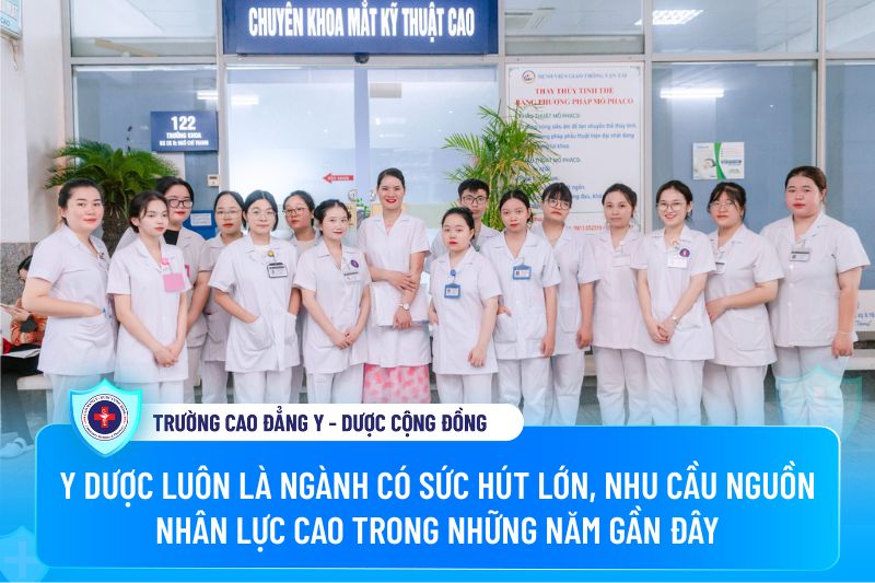 Y Dược luôn là ngành đang khát nhân lực trong những năm gần đây