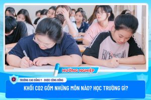 Khối C02 gồm những môn nào? Học trường gì?