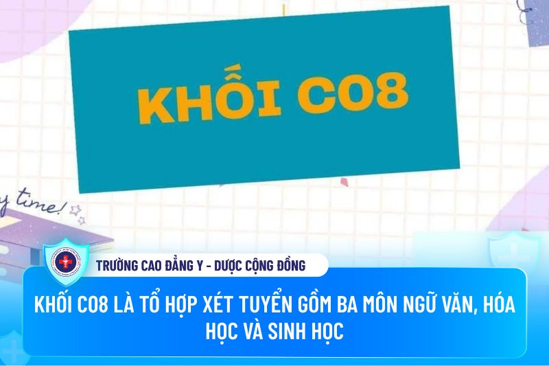 Tổ hợp C08 gồm những môn nào?