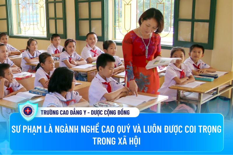 Sư phạm là ngành nghề cao quý và luôn được coi trọng trong xã hội