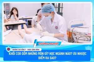 Khối C08 gồm những môn gì? Học ngành nào? Ưu nhược điểm ra sao?