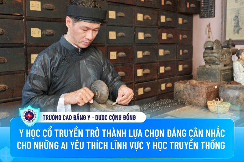 Y học cổ truyền trở thành lựa chọn đáng cân nhắc cho những ai yêu thích lĩnh vực y học truyền thống 
