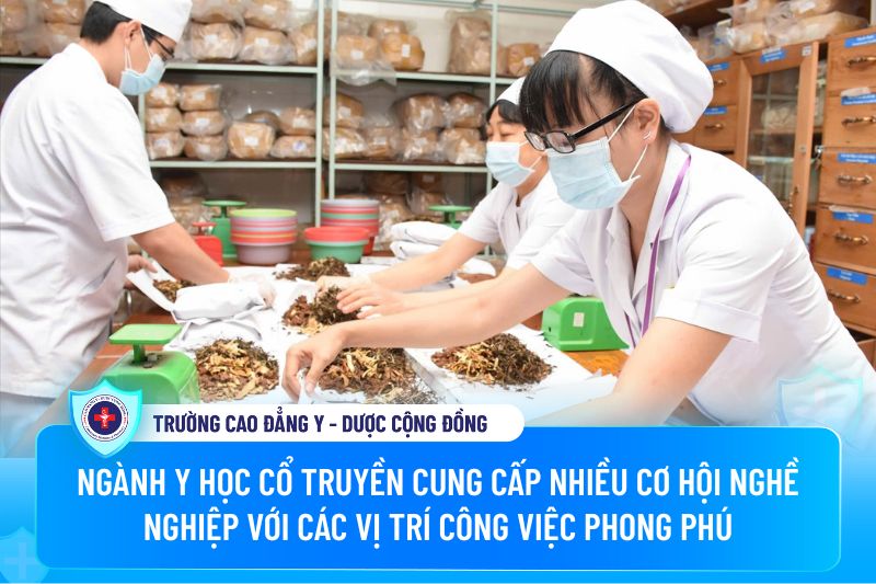 Ngành Y học cổ truyền cung cấp nhiều cơ hội nghề nghiệp với các vị trí công việc phong phú