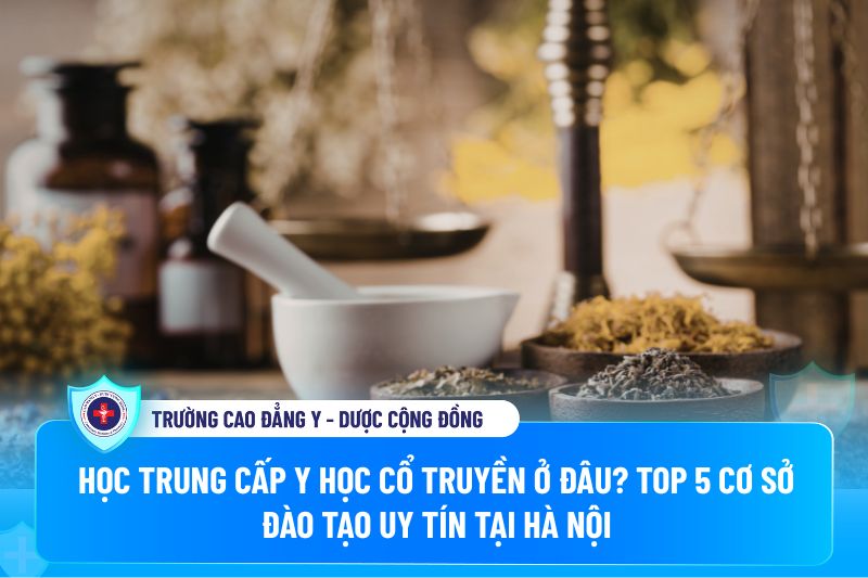 Học Trung cấp Y học cổ truyền ở đâu