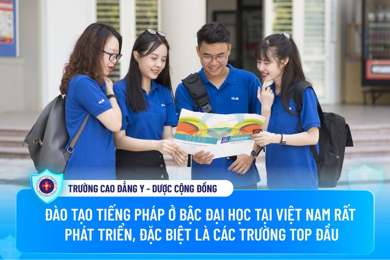 Đào tạo tiếng Pháp ở bậc đại học tại Việt Nam rất phát triển, đặc biệt là các trường top đầu