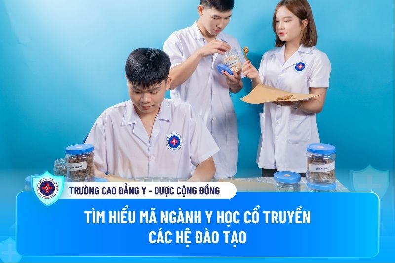 Tìm hiểu mã ngành y học cổ truyền