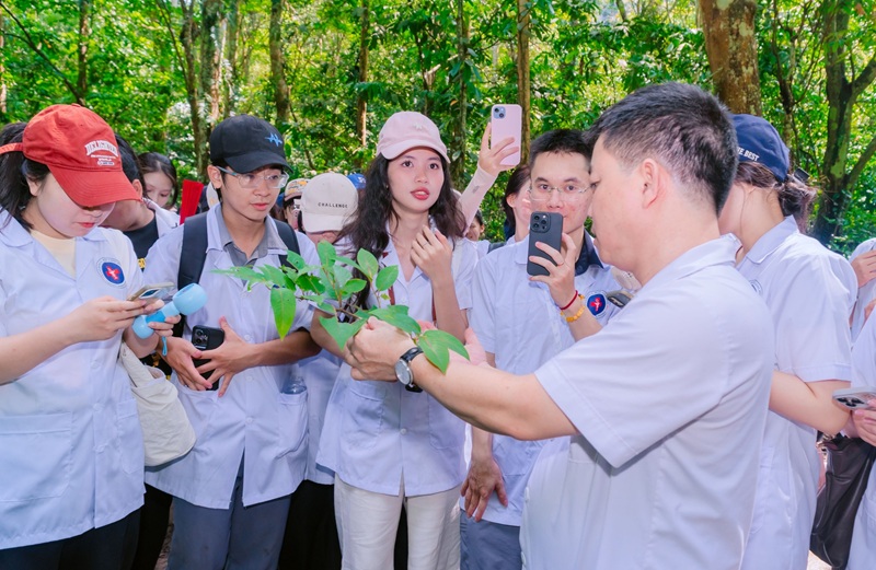 Thầy Trần Việt Tùng chia sẻ những kiến thức thú vị về những loại dược liệu Thầy Trần Việt Tùng chia sẻ những kiến thức thú vị về những loại dược liệu